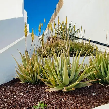 Holiday home Tenerife.365 Atalaya Court Ii Sunset Ocean View Costa Adeje (Tenerife)