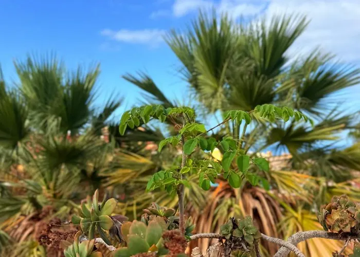 Sunset Ocean View With Patio B By-tenerife365 * Costa Adeje (Tenerife)