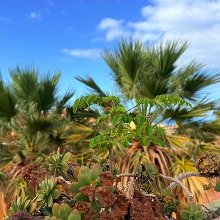 Sunset Ocean View With Patio B By-tenerife365 * أذيخي